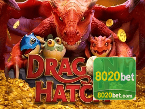 8020BET PIX instantâneo Brasil - Depósito e saque em minutos 24/7